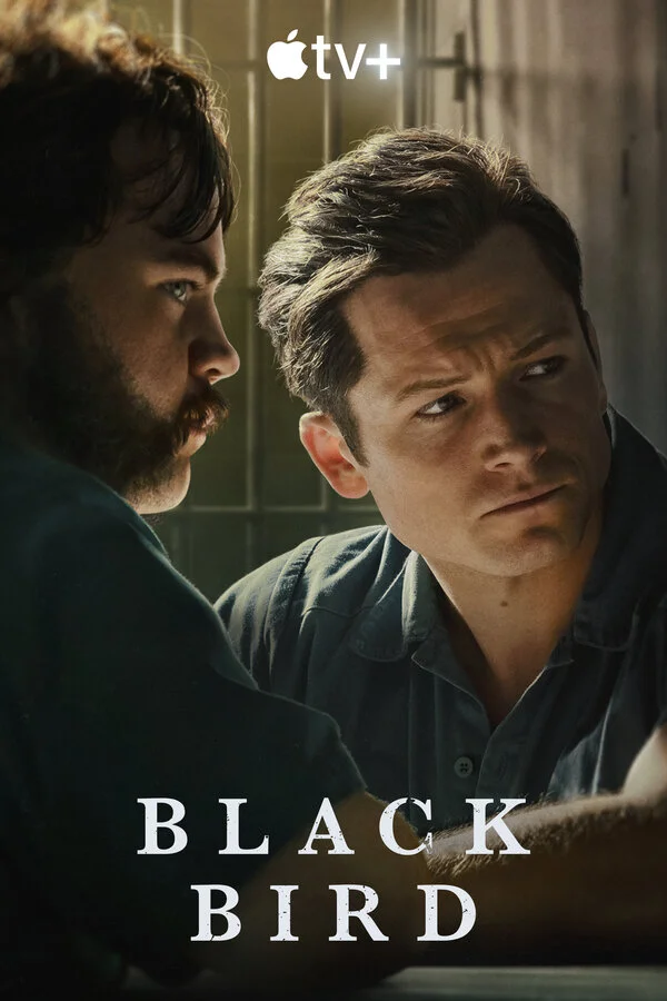 Чёрная птица сериал 2022 смотреть онлайн бесплатно в хорошем качестве HD